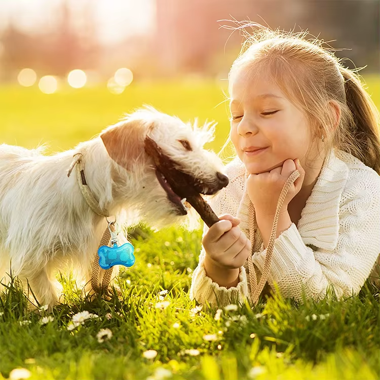 luz de seguridad led al por mayor de alta calidad para mascotas o niños perro con etiqueta de identificación hueso de perro colgantes de luz led para collar de mascota luz de seguridad led al por mayor de alta calidad para mascotas o niños perro con etiqueta de identificación hueso de perro colgantes de luz led para collar de mascota